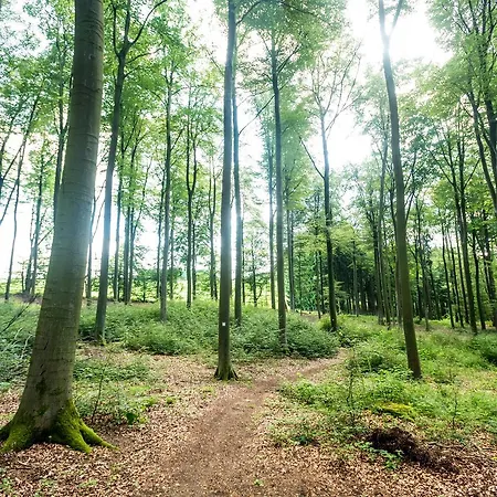 Thalhauser Muehle Hotel-restaurant Szálloda 4*