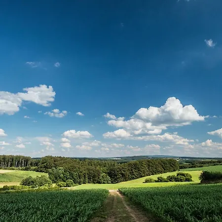 Thalhauser Muehle Hotel-restaurant Szálloda Thalhausen