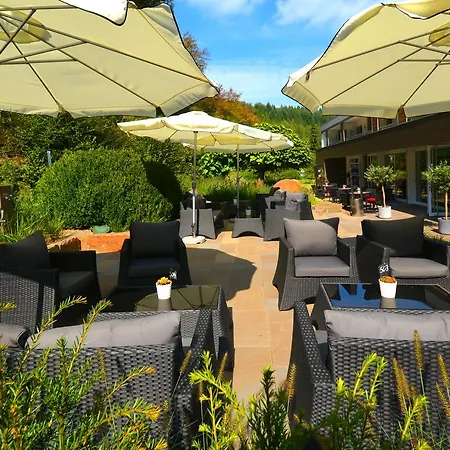 Thalhauser Mühle Hotel-restaurant Hotel