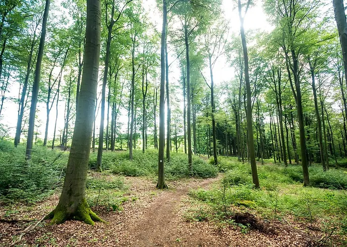 Thalhauser Muehle Hotel-restaurant Hotell 4*