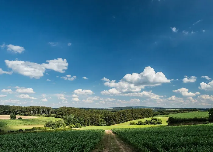 Thalhauser Muehle Hotel-restaurant מלון Thalhausen